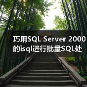 巧用SQL Server 2000的isql进行批量SQL处理(图2) 巧用SQL Server 2000的isql进行批量SQL处理(图2)