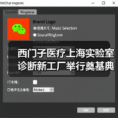 西门子医疗上海实验室诊断新工厂举行奠基典礼（图4）