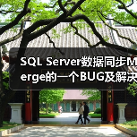 SQL Server数据同步Merge的一个BUG及解决方法(图2) SQL Server数据同步Merge的一个BUG及解决方法(图2)