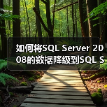 如何将SQL Server 2008的数据降级到SQL Server 2005(图1) 如何将SQL Server 2008的数据降级到SQL Server 2005(图1)