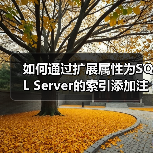 如何通过扩展属性为SQL Server的索引添加注释信息(图4) 如何通过扩展属性为SQL Server的索引添加注释信息(图4)
