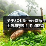 关于SQL Server数据库主键与索引的几点区别(图2) 关于SQL Server数据库主键与索引的几点区别(图2)