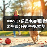MySQL数据库如何删除表中部分关键字段重复的记录(图4) MySQL数据库如何删除表中部分关键字段重复的记录(图4)