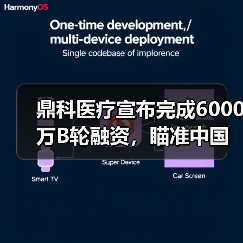 鼎科医疗宣布完成6000万B轮融资，瞄准中国介入市场（图1）