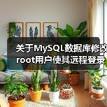 关于MySQL数据库修改root用户使其远程登录的说明（图3）