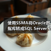 使用SSMA将Oracle数据库转成SQL Server 2008(1)(图1) 使用SSMA将Oracle数据库转成SQL Server 2008(1)(图1)