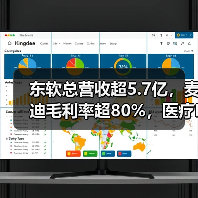 东软总营收超5.7亿,麦迪毛利率超80%,医疗IT公司半年报数据的背后(图3) 东软总营收超5.7亿,麦迪毛利率超80%,医疗IT公司半年报数据的背后(图3)