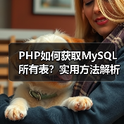 PHP如何获取MySQL所有表?实用方法解析(图3) PHP如何获取MySQL所有表?实用方法解析(图3)