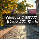 Windows 7 IE英文变中文怎么设置?语言包更新教程(图2) Windows 7 IE英文变中文怎么设置?语言包更新教程(图2)
