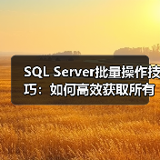 SQL Server批量操作技巧:如何高效获取所有表结构数据?(图1) SQL Server批量操作技巧:如何高效获取所有表结构数据?(图1)