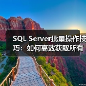 SQL Server批量操作技巧:如何高效获取所有表结构数据?(图2) SQL Server批量操作技巧:如何高效获取所有表结构数据?(图2)