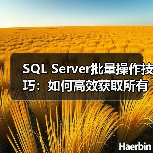 SQL Server批量操作技巧:如何高效获取所有表结构数据?(图3) SQL Server批量操作技巧:如何高效获取所有表结构数据?(图3)