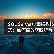 SQL Server批量操作技巧:如何高效获取所有表结构数据?(图4) SQL Server批量操作技巧:如何高效获取所有表结构数据?(图4)