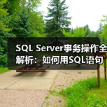 SQL Server事务操作全解析：如何用SQL语句确保原子性？（图2）