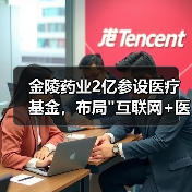 金陵药业2亿参设医疗基金,布局 金陵药业2亿参设医疗基金,布局
