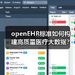 openEHR标准如何构建高质量医疗大数据?(图2) openEHR标准如何构建高质量医疗大数据?(图2)