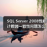 SQL Server 2008性能计数器一致性问题怎么解决?(图2) SQL Server 2008性能计数器一致性问题怎么解决?(图2)