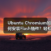 Ubuntu Chromium如何安装Flash插件?轻松播放Google音乐(图2) Ubuntu Chromium如何安装Flash插件?轻松播放Google音乐(图2)