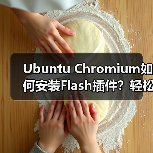 Ubuntu Chromium如何安装Flash插件?轻松播放Google音乐(图4) Ubuntu Chromium如何安装Flash插件?轻松播放Google音乐(图4)